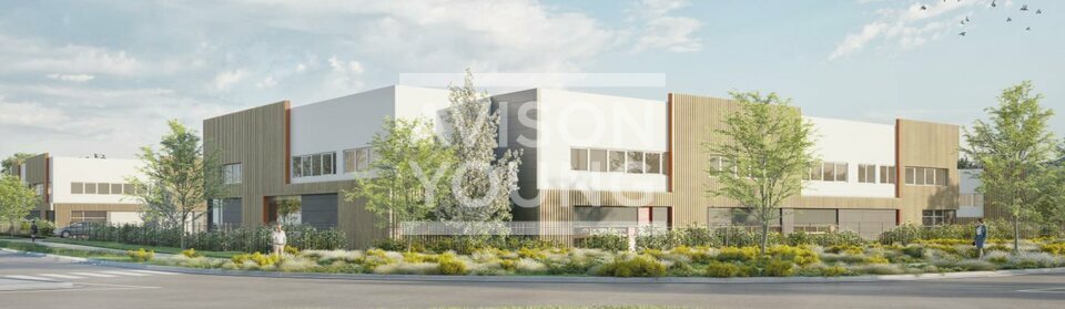 AVISON YOUNG LOCATION-LOCAL D'ACTIVITE-LOUVRES-95