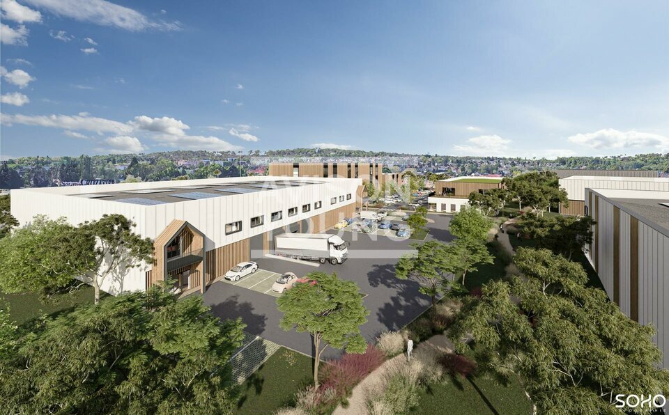 AVISON YOUNG VENTE-LOCAL D'ACTIVITE-EZANVILLE-95