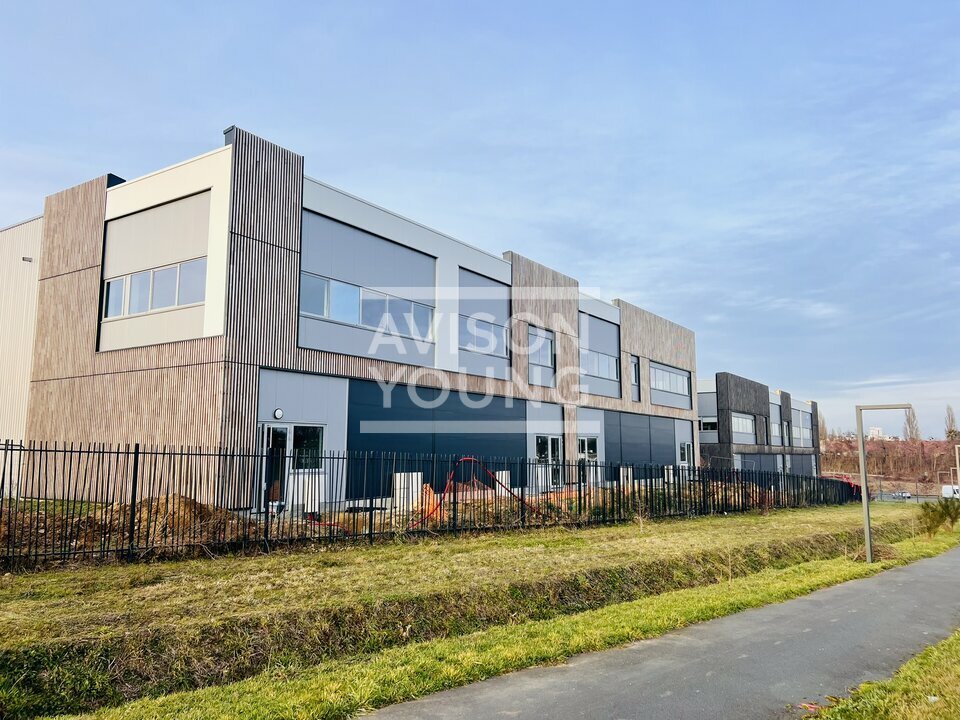 AVISON YOUNG LOCATION-LOCAL D'ACTIVITE-LOUVRES-95