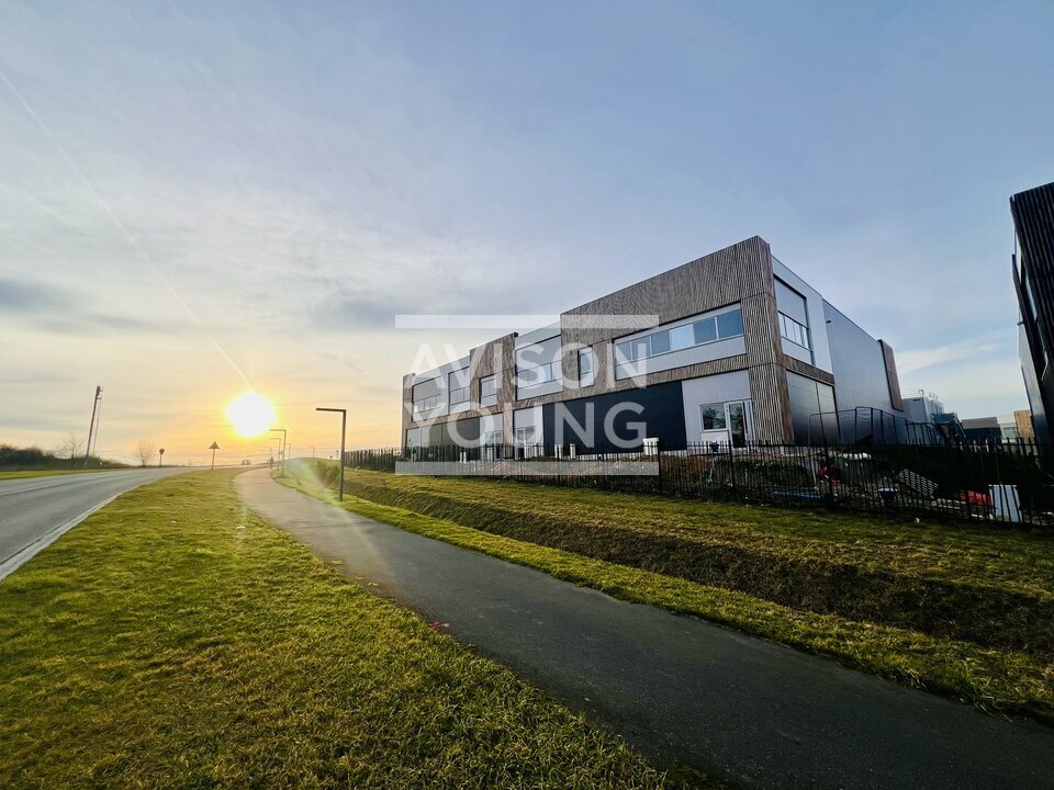 AVISON YOUNG VENTE-LOCAL D'ACTIVITE-LOUVRES-95