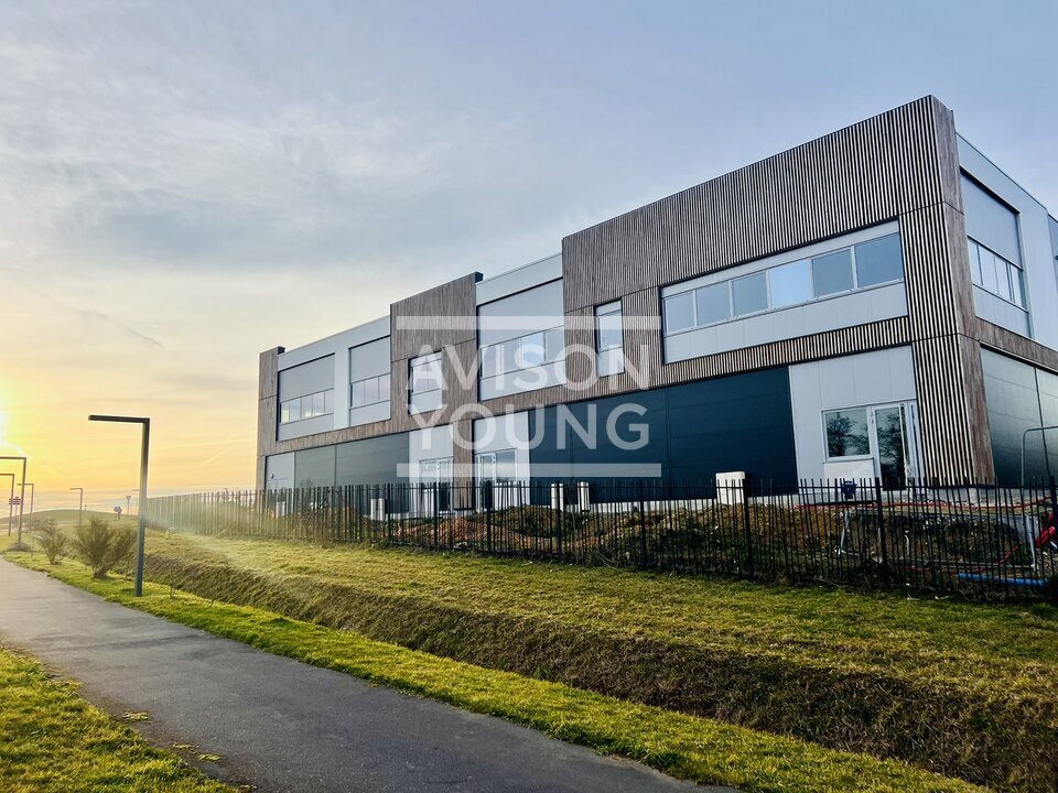 AVISON YOUNG VENTE-LOCAL D'ACTIVITE-LOUVRES-95