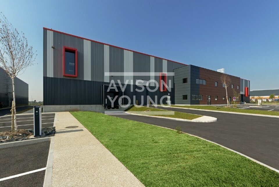 AVISON YOUNG LOCATION-LOCAL D'ACTIVITE-LE_THILLAY-95