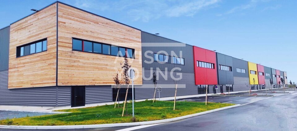 AVISON YOUNG LOCATION-LOCAL D'ACTIVITE-LOUVRES-95