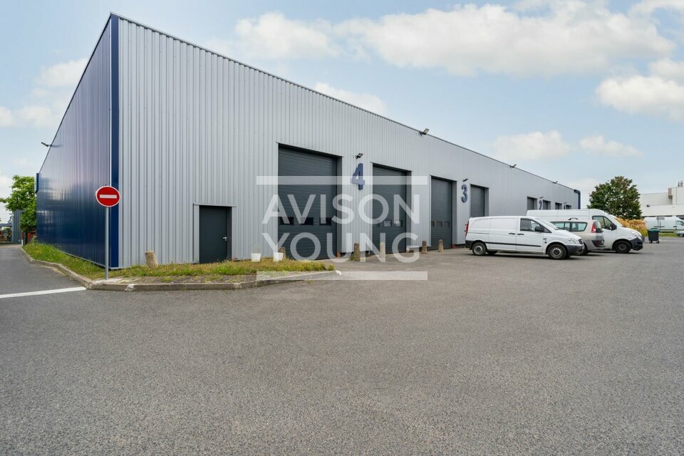 AVISON YOUNG LOCATION-LOCAL D'ACTIVITE-SAINT-OUEN-L'AUMONE-95