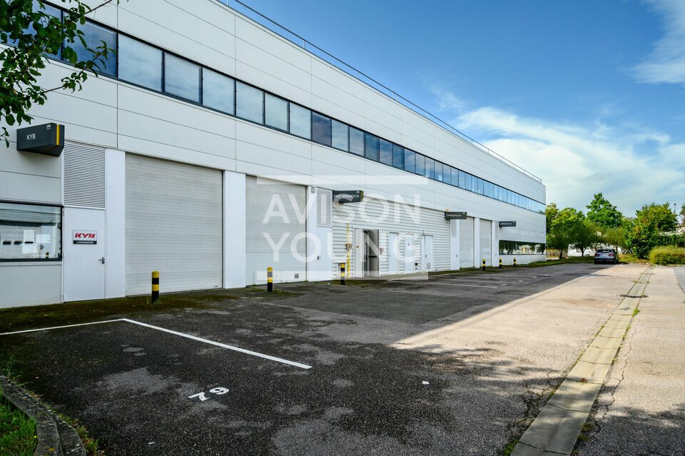 AVISON YOUNG LOCATION-LOCAL D'ACTIVITE-CERGY-95