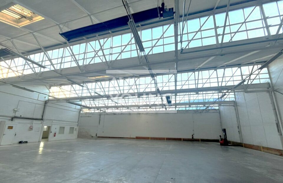 AVISON YOUNG LOCATION-LOCAL D'ACTIVITE-MASSY-91