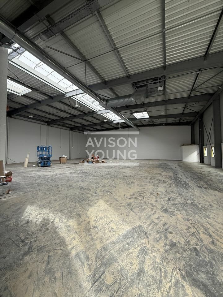 AVISON YOUNG LOCATION-LOCAL D'ACTIVITE-LE_MESNIL_AMELOT-77