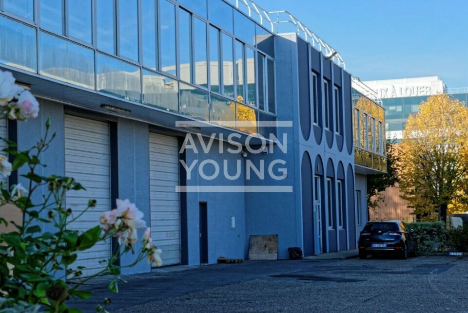 AVISON YOUNG LOCATION-LOCAL D'ACTIVITE-SAINT-DENIS-93