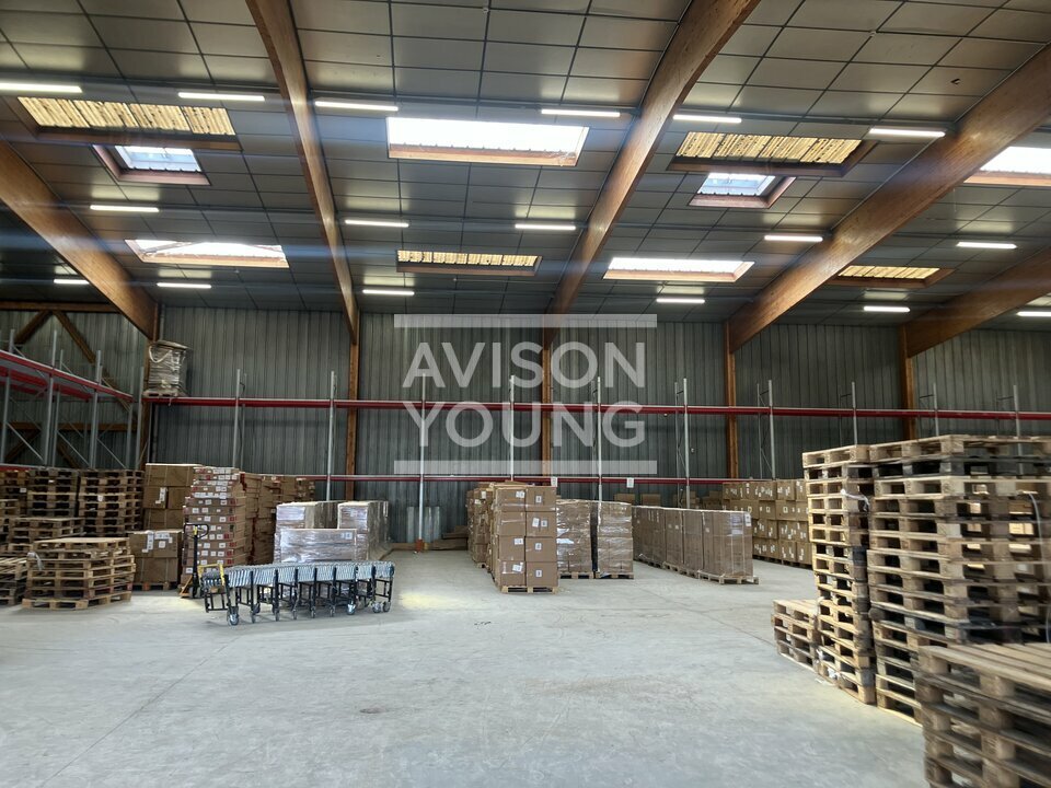 AVISON YOUNG LOCATION-LOCAL D'ACTIVITE-AULNAY-SOUS-BOIS-93