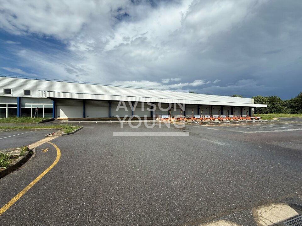 AVISON YOUNG LOCATION-LOCAL D'ACTIVITE-FERRIERES-EN-BRIE-77