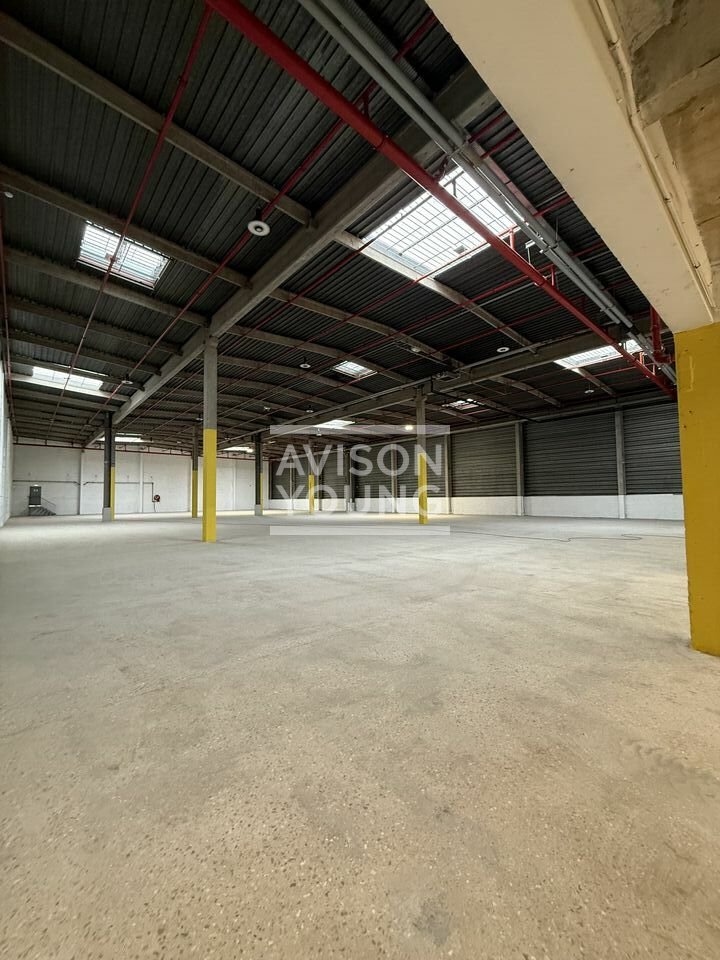 AVISON YOUNG LOCATION-LOCAL D'ACTIVITE-ROSNY-SOUS-BOIS-93