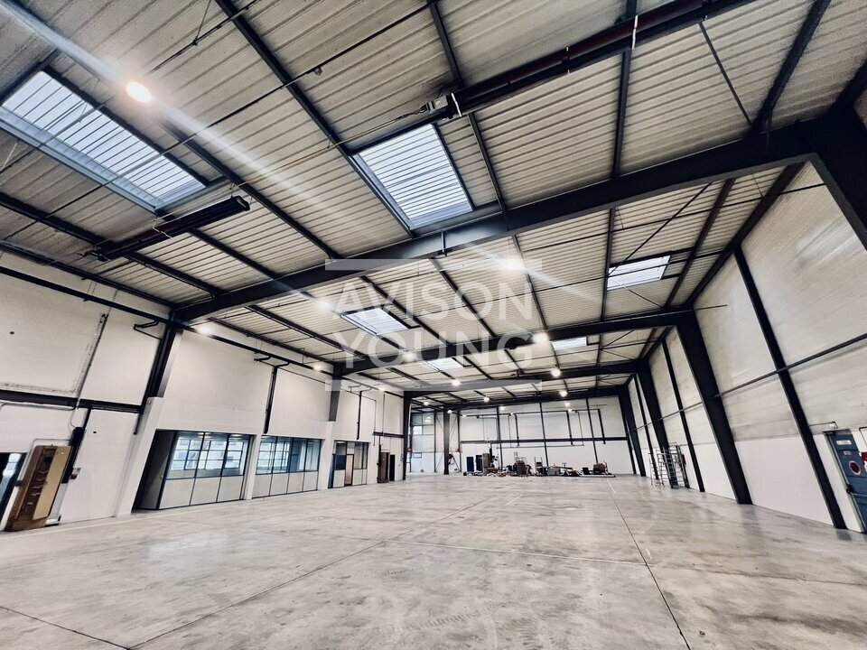 AVISON YOUNG LOCATION-LOCAL D'ACTIVITE-LA_COURNEUVE-93