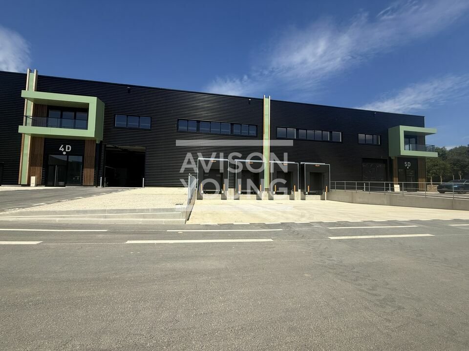 AVISON YOUNG LOCATION-LOCAL D'ACTIVITE-LA_QUEUE-EN-BRIE-94