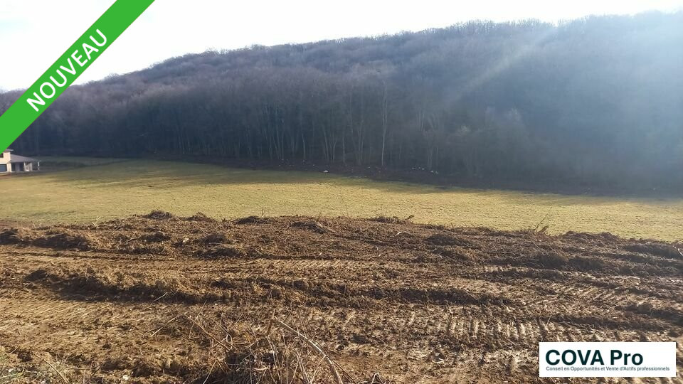 COVA PRO VENTE-TERRAIN-CHATILLON_LE_DUC-25