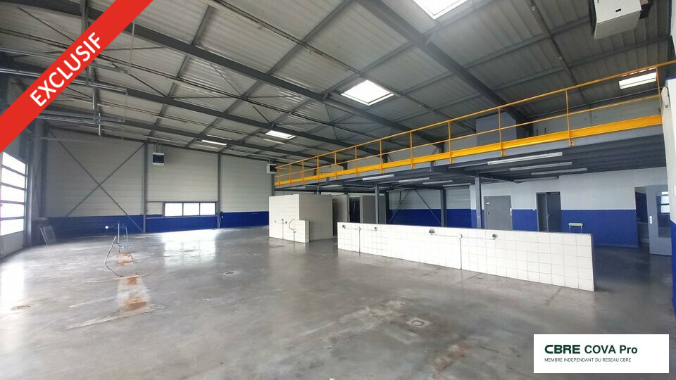 COVA PRO LOCATION-LOCAL COMMERCIAL-SAINT_VIT-25