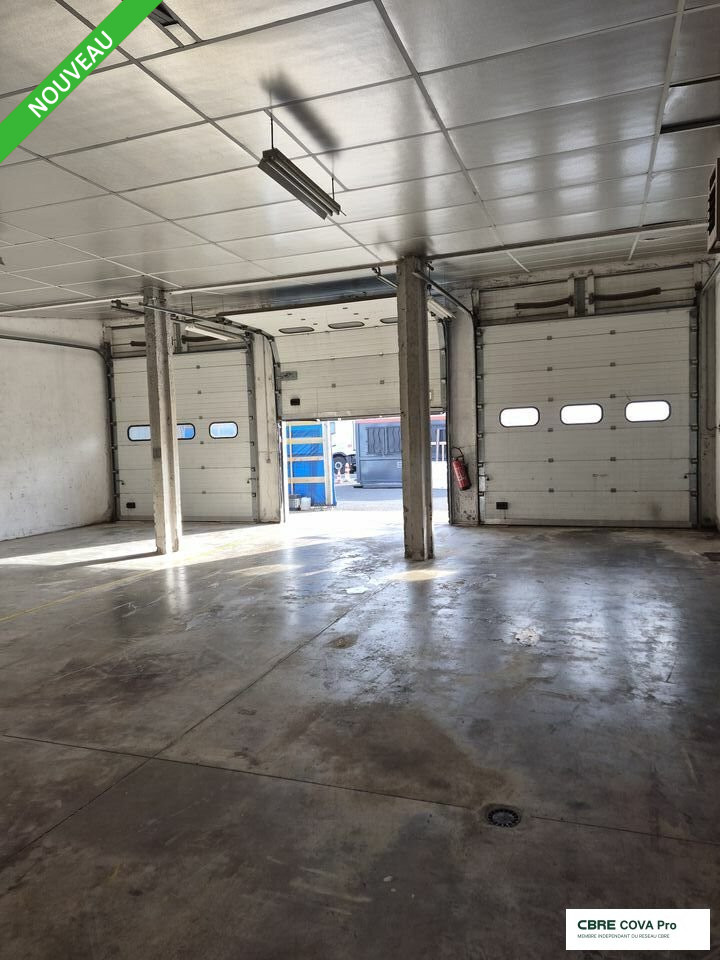 CBRE COVA PRO LOCATION-LOCAL D'ACTIVITE-THISE-25
