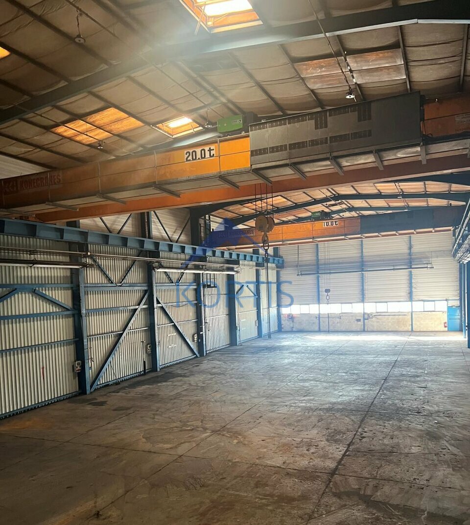 KORTIS LOCATION-LOCAL D'ACTIVITE-BELIGNEUX-01