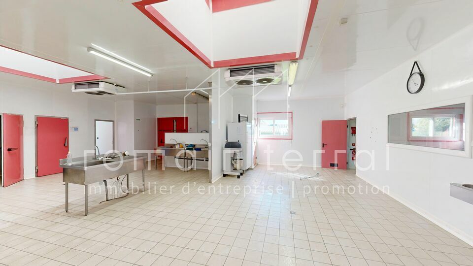 ROMAIN TERRAL LOCATION-LOCAL D'ACTIVITE-LIMOGES-87