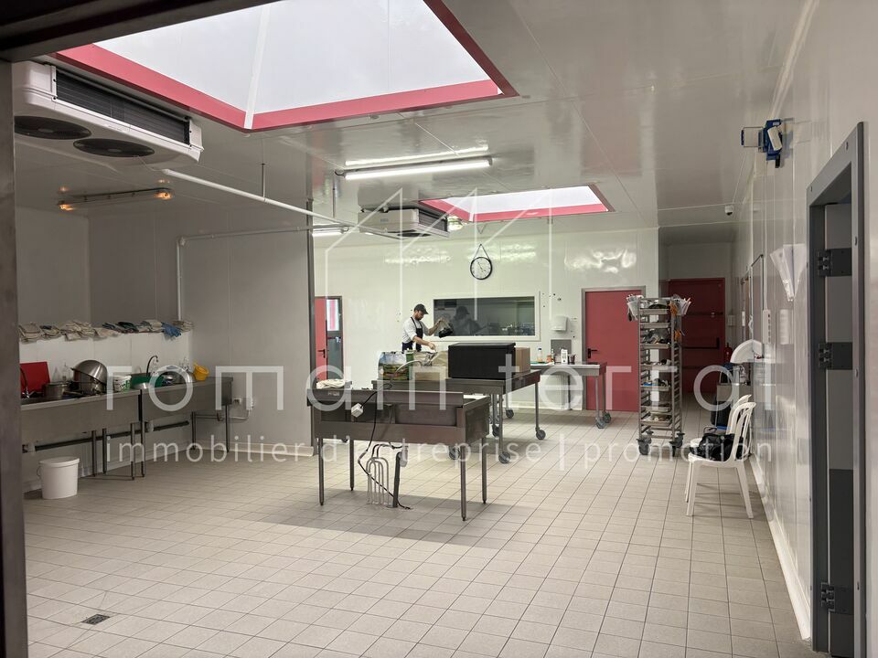 ROMAIN TERRAL LOCATION-LOCAL D'ACTIVITE-LIMOGES-87