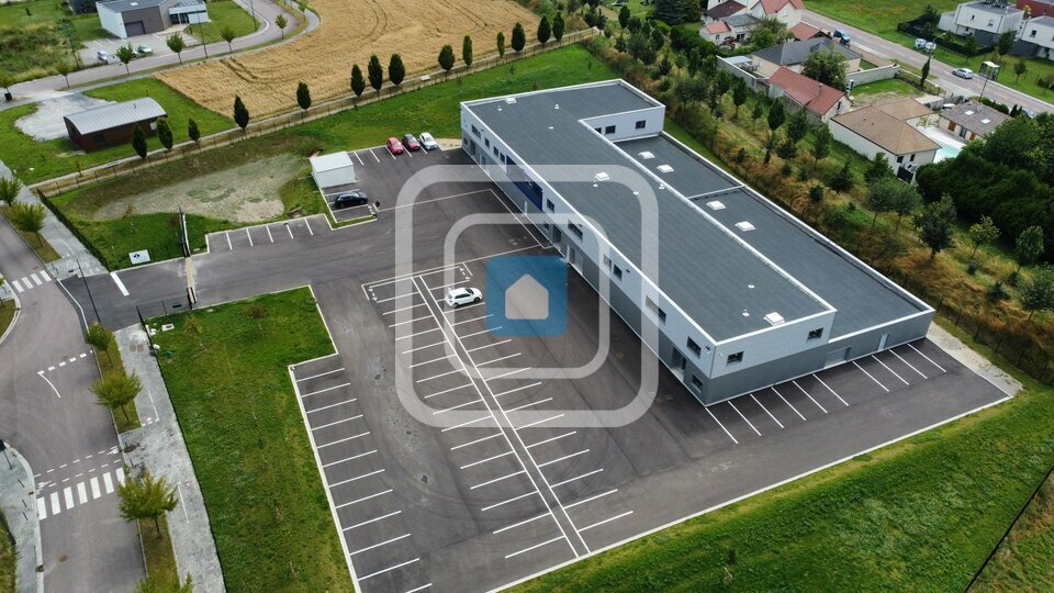 D'ERLON IMMOBILIER LOCATION-LOCAL D'ACTIVITE-SAINTE_SAVINE-10