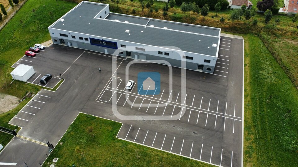 D'ERLON IMMOBILIER LOCATION-LOCAL D'ACTIVITE-SAINTE_SAVINE-10