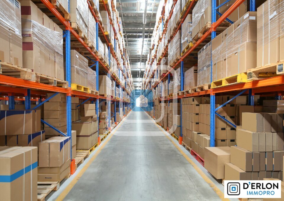 D'ERLON IMMOBILIER LOCATION-ENTREPOT-REIMS-51