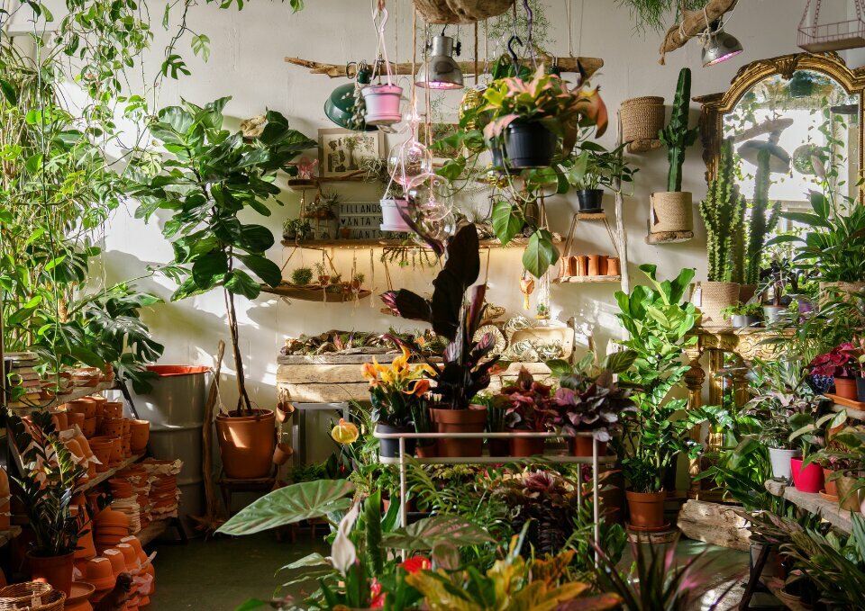 D'ERLON IMMOBILIER LOCATION-LOCAL COMMERCIAL-REIMS-51