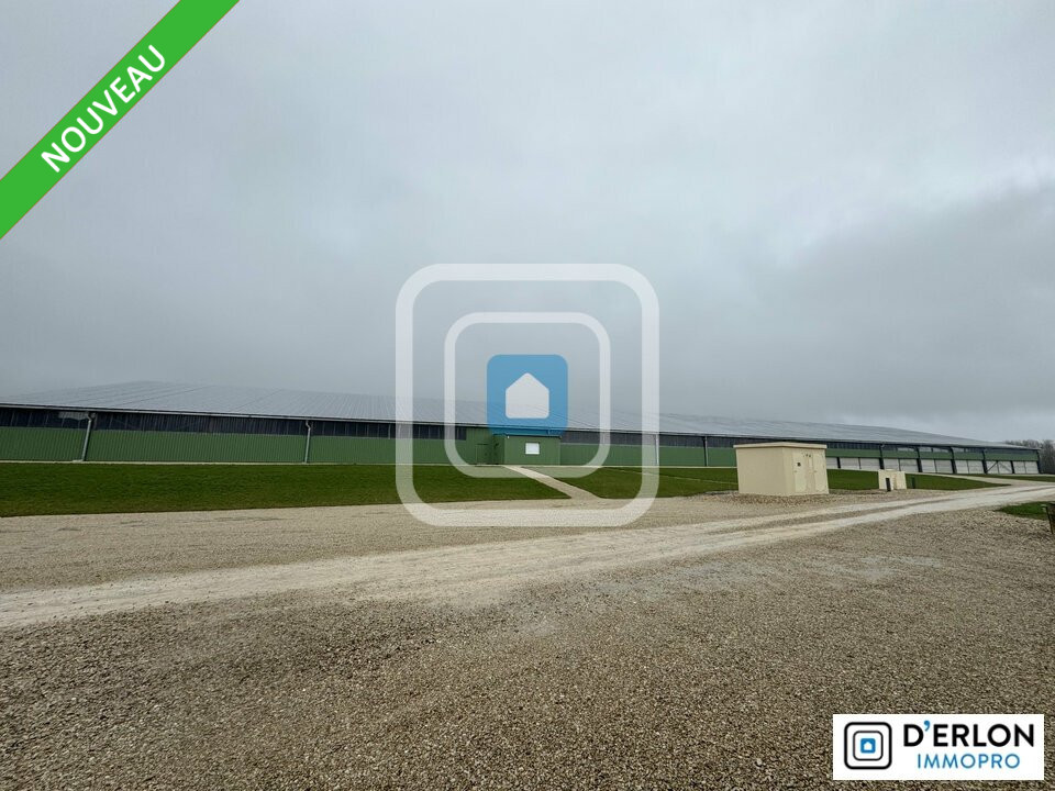 D'ERLON IMMOBILIER LOCATION-LOCAL D'ACTIVITE-CHALONS_EN_CHAMPAGNE-51