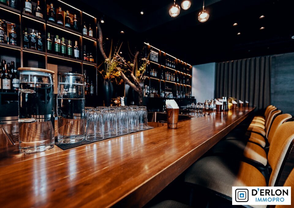 D'ERLON IMMOBILIER VENTE-FONDS DE COMMERCE-REIMS-51