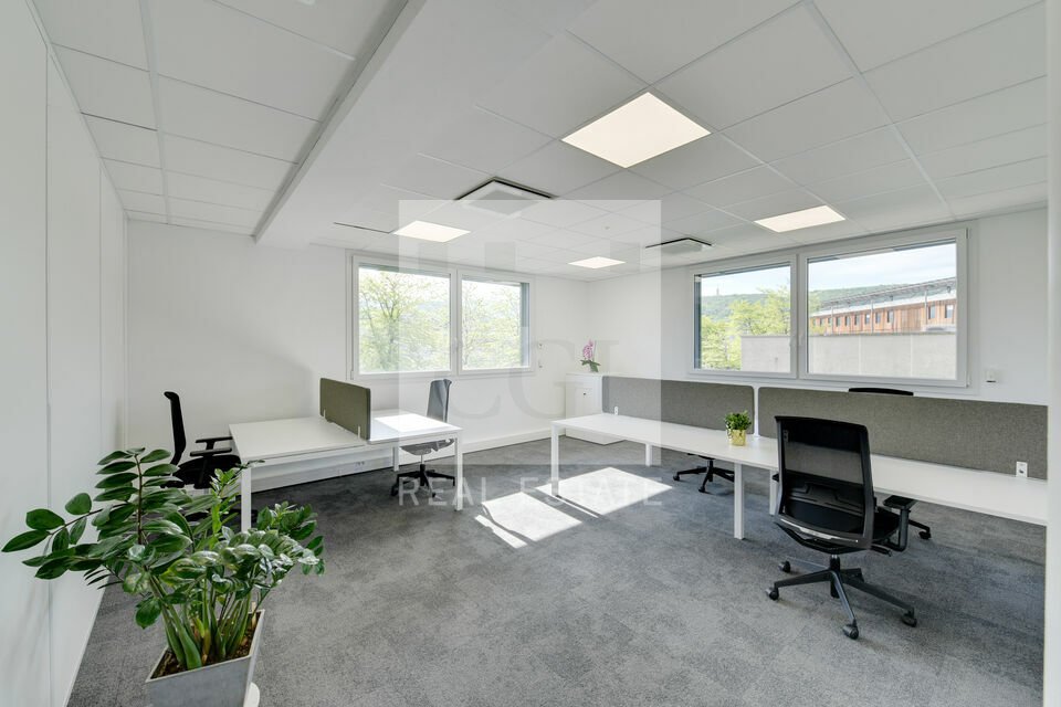 CGI GRENOBLE LOCATION-BUREAUX-EYBENS-38