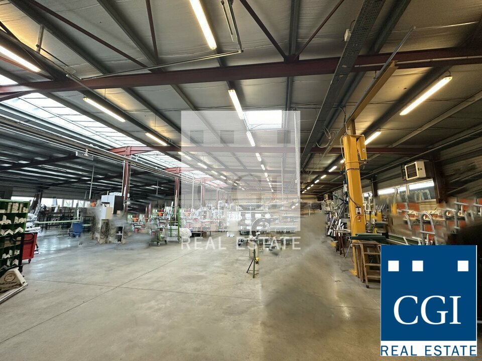 CGI GRENOBLE VENTE-LOCAL D'ACTIVITE-FONTAINE-38