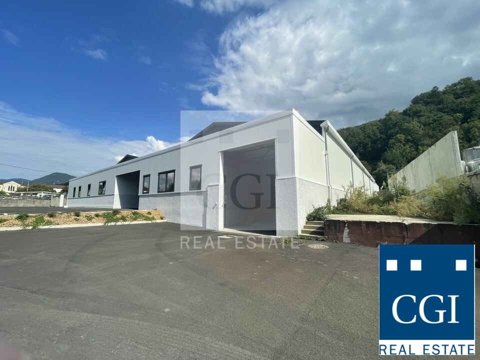 CGI GRENOBLE VENTE-LOCAL D'ACTIVITE-FROGES-38