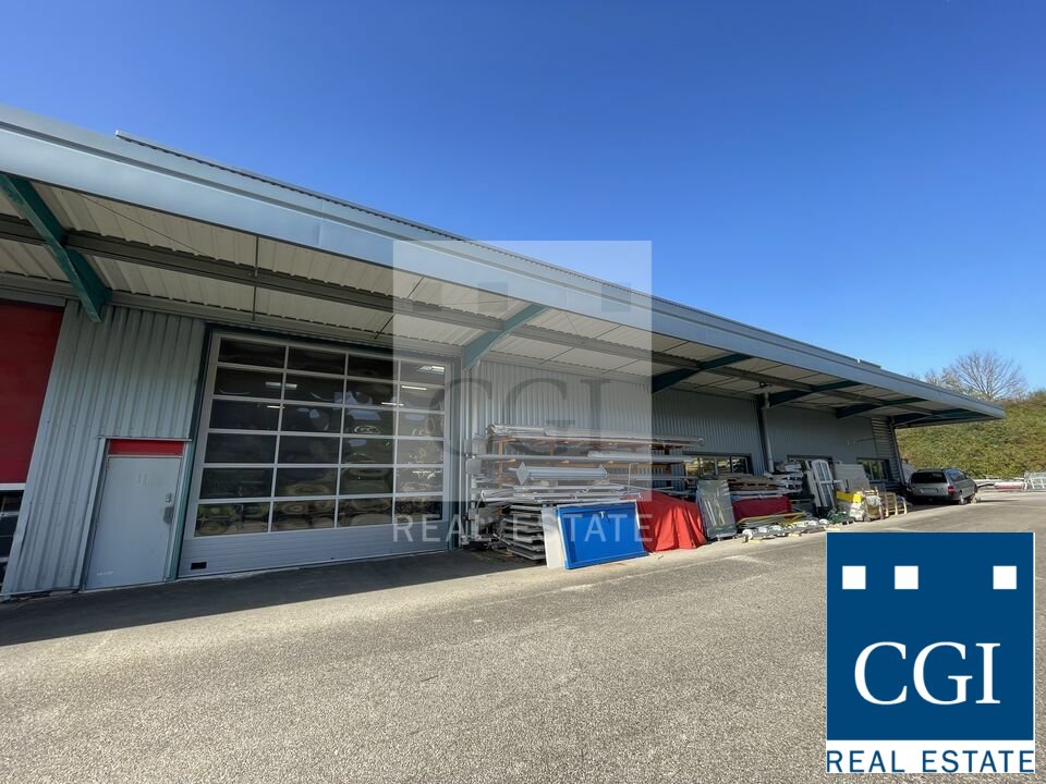 CGI GRENOBLE LOCATION-LOCAL D'ACTIVITE-SAINT-BLAISE-DU-BUIS-38