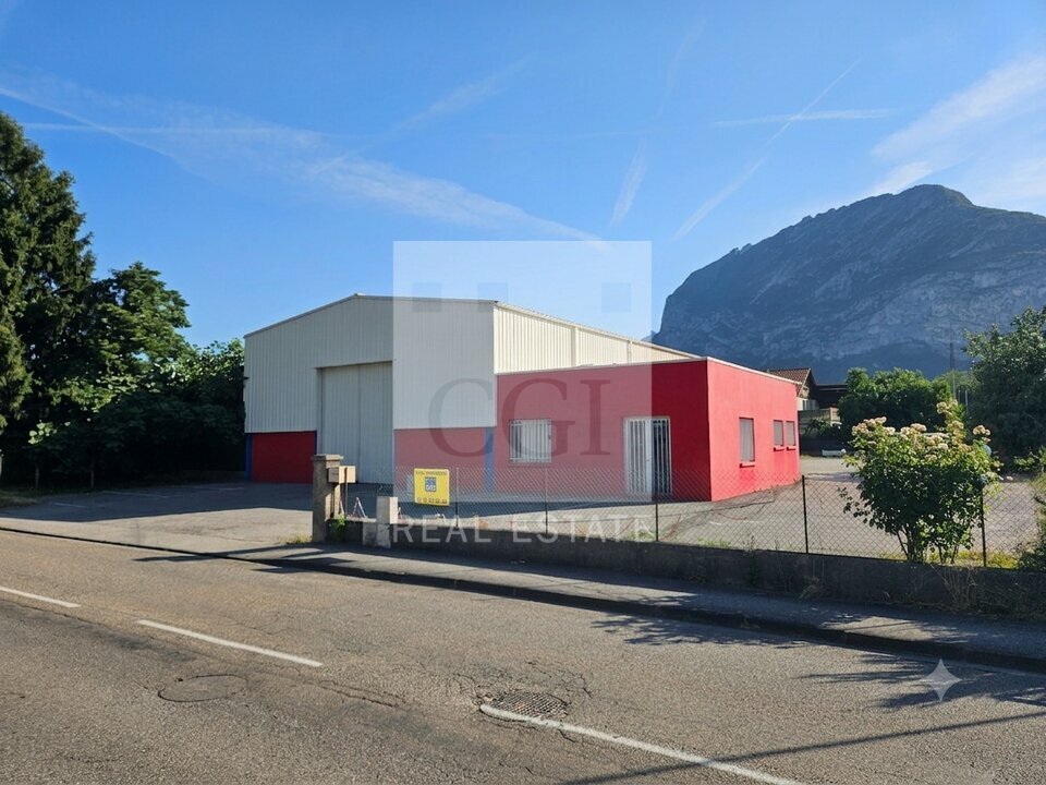 CGI GRENOBLE LOCATION-LOCAL D'ACTIVITE-SASSENAGE-38
