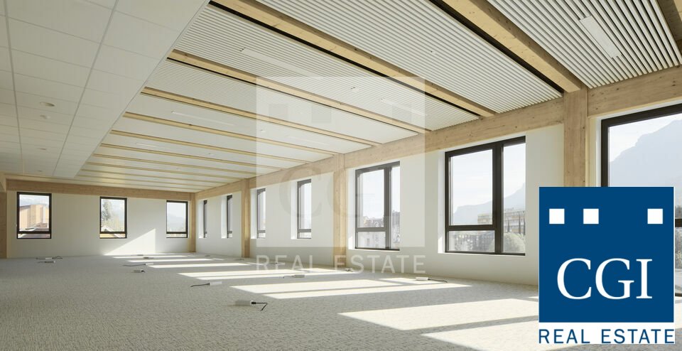 CGI GRENOBLE LOCATION-BUREAUX-GRENOBLE-38