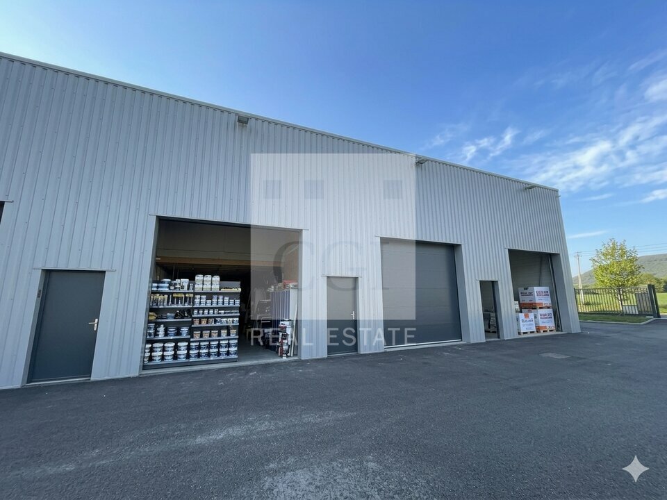 CGI GRENOBLE VENTE-LOCAL D'ACTIVITE-RIVES-38