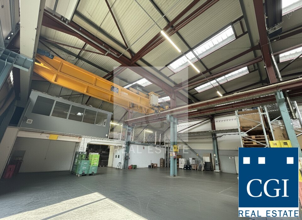 CGI GRENOBLE LOCATION-LOCAL D'ACTIVITE-SAINT-MARTIN-D'HERES-38