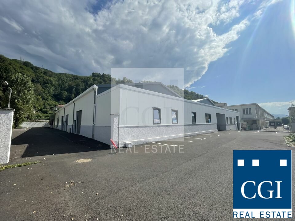 CGI GRENOBLE VENTE-LOCAL D'ACTIVITE-FROGES-38