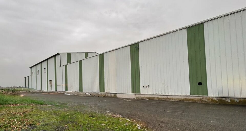 QIMMO LOCATION-LOCAL D'ACTIVITE-ORCHIES-59