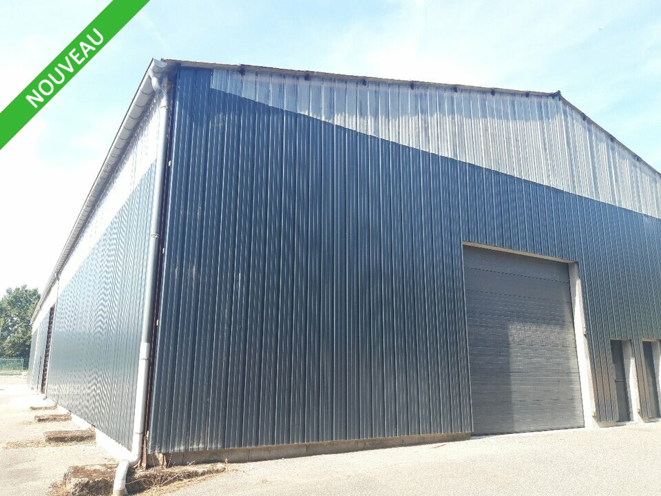 SAS VERSION LOCAL LOCATION-LOCAL D'ACTIVITE-ROMANECHE_THORINS-71