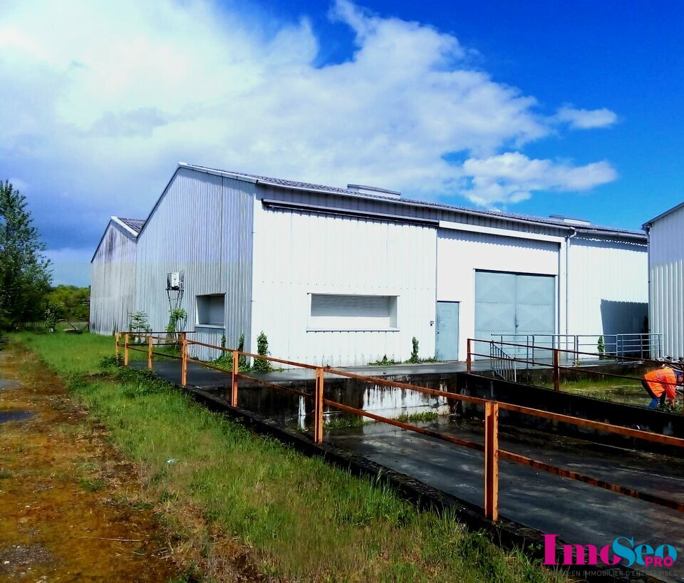 IMOSEO PRO LOCATION-ENTREPOT-VILLENAVE-D'ORNON-33