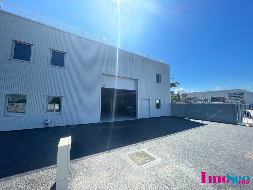 IMOSEO PRO LOCATION-ENTREPOT-AMBARES_ET_LAGRAVE-33