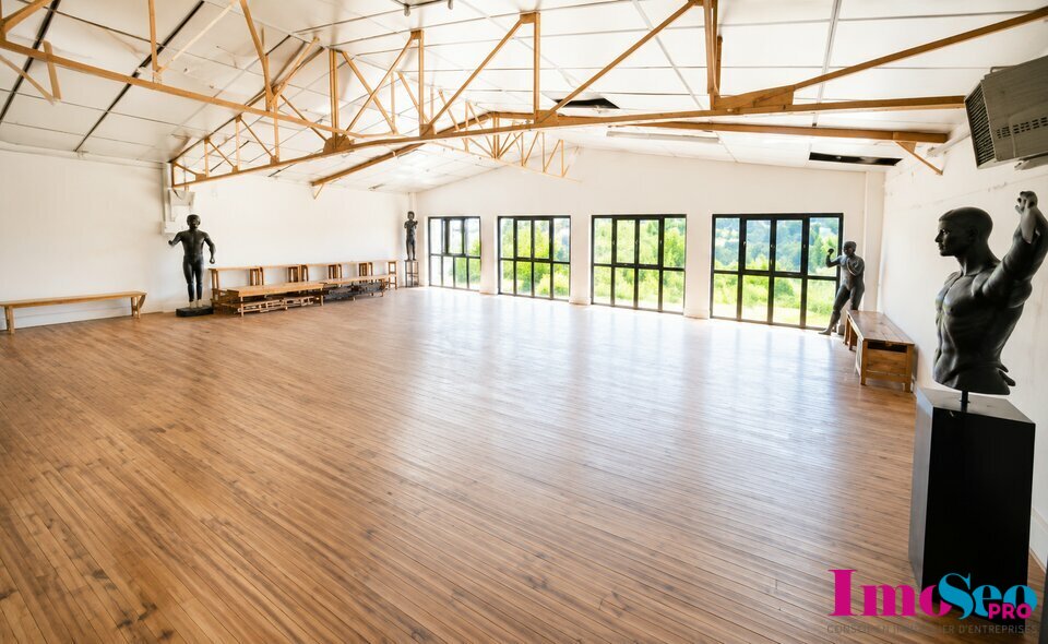 IMOSEO PRO LOCATION-BUREAUX-BORDEAUX-33