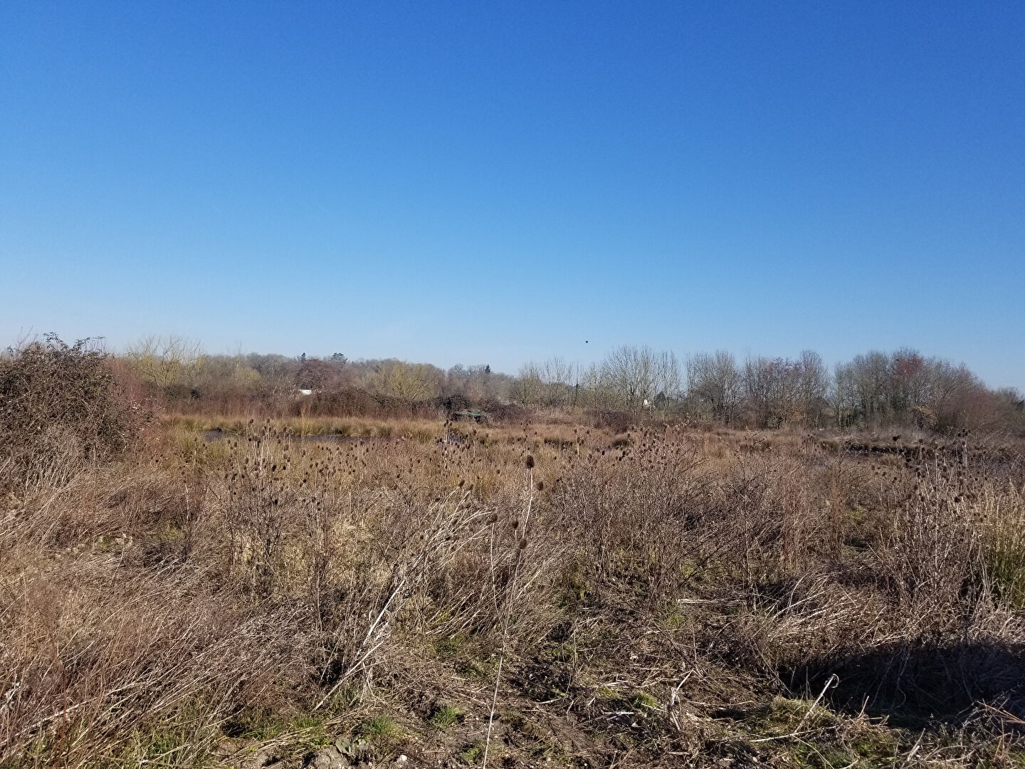 IMOSEO PRO VENTE-BUREAUX-BRUGES-33