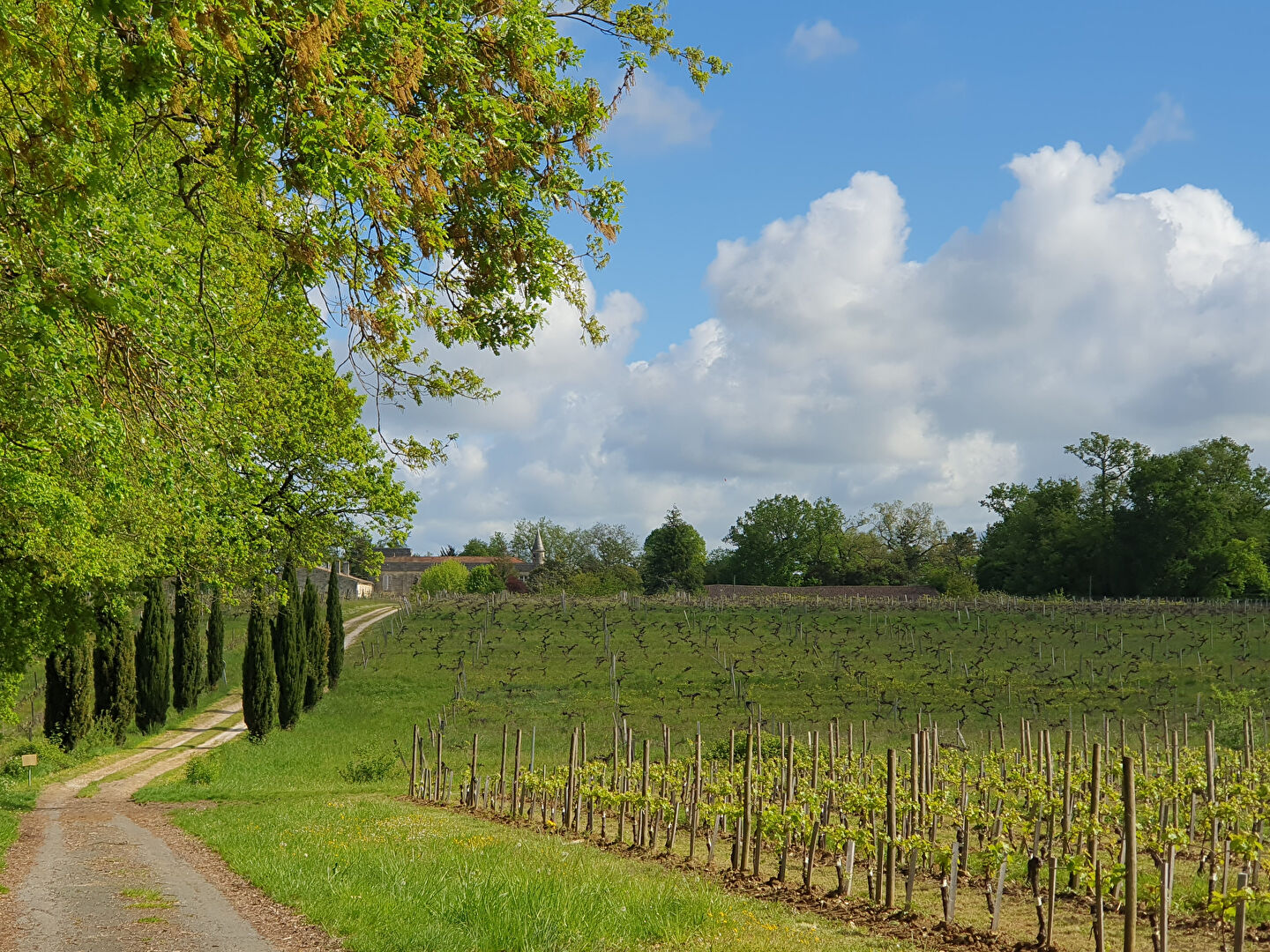 IMOSEO PRO VENTE-FONDS DE COMMERCE-YVRAC-33