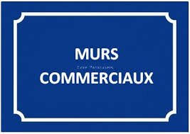 CBRE BENEDIC VENTE-LOCAL COMMERCIAL-PELTRE-57