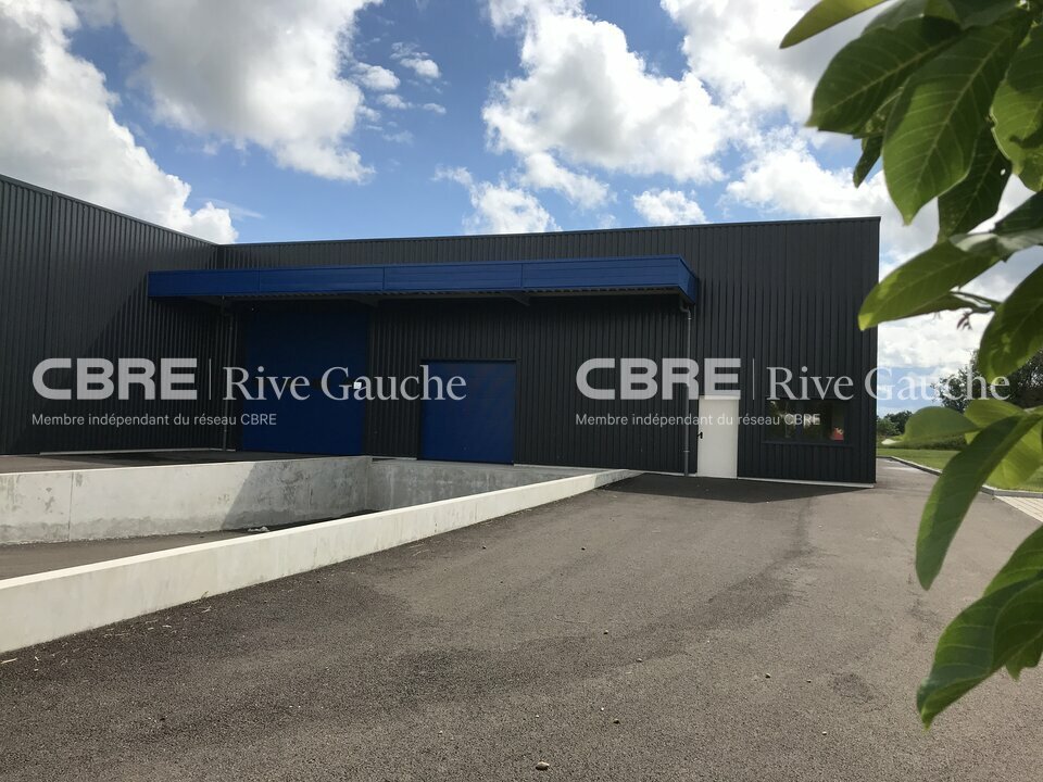 CBRE RIVE GAUCHE VENTE-ENTREPOT-HERRLISHEIM-67