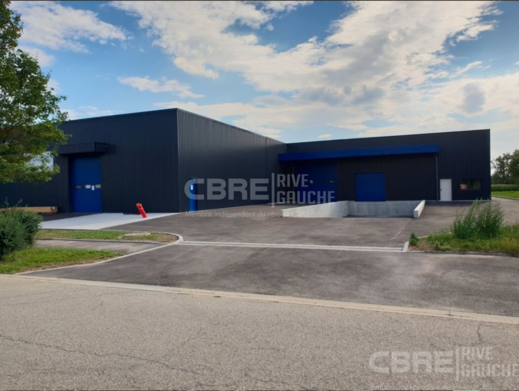 CBRE RIVE GAUCHE VENTE-ENTREPOT-HERRLISHEIM-67