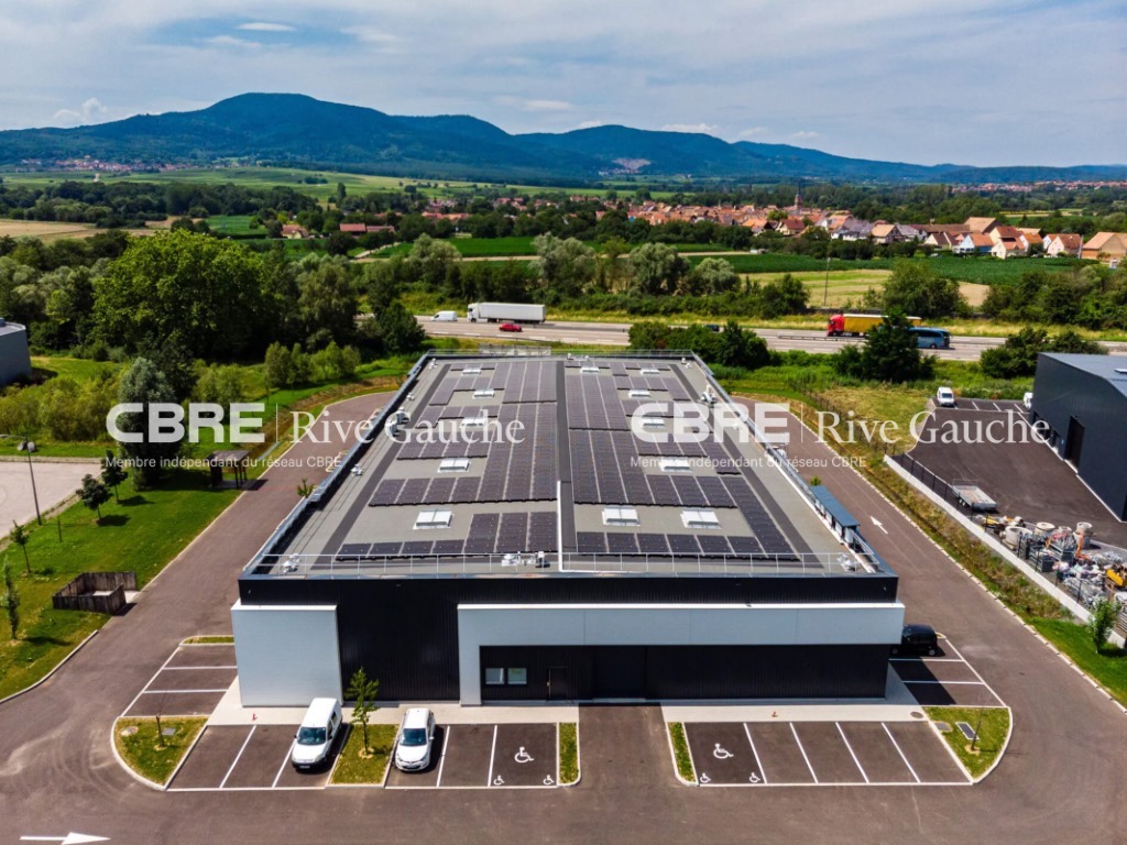 CBRE RIVE GAUCHE VENTE-LOCAL D'ACTIVITE-GOXWILLER-67