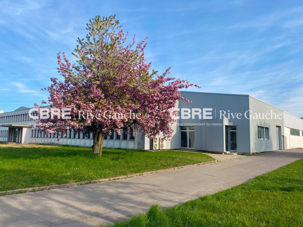 CBRE RIVE GAUCHE LOCATION-LOCAL D'ACTIVITE-GEISPOLSHEIM-67